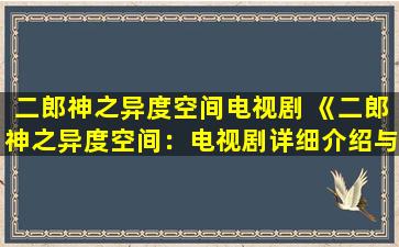 二郎神之异度空间电视剧 《二郎神之异度空间：电视剧详细介绍与剧情解析》